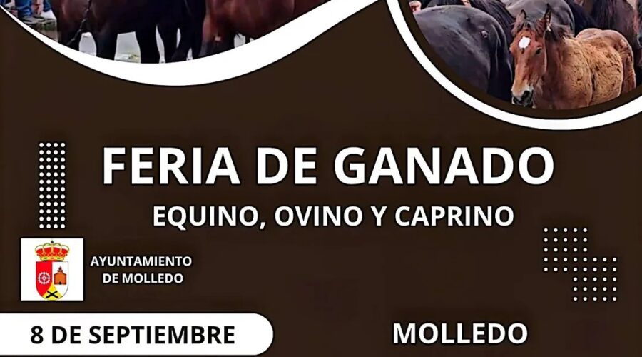 Feria de Ganado Equino, Ovino y Caprino en Molledo 2026