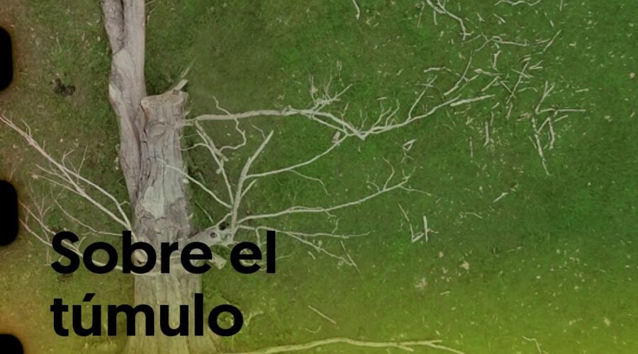 Cine sin Niebla 2026: Estreno de «Sobre el túmulo»