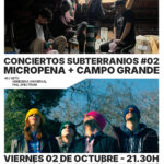 Conciertos Subterranios: Micropena y Campo Grande en Sala Niágara