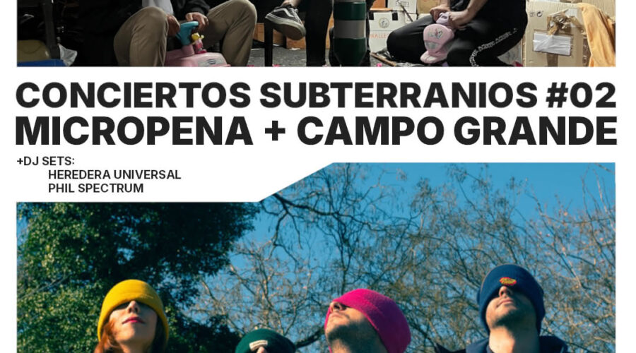 Conciertos Subterranios: Micropena y Campo Grande en Sala Niágara