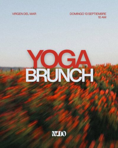 Taller de Yoga Vinyasa y Brunch en Virgen del Mar 2026