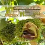 XIV Festival de la Castaña en Serdio 2026