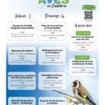 Día de las Aves 2026 en Cantabria: actividades 3 y 4 de octubre