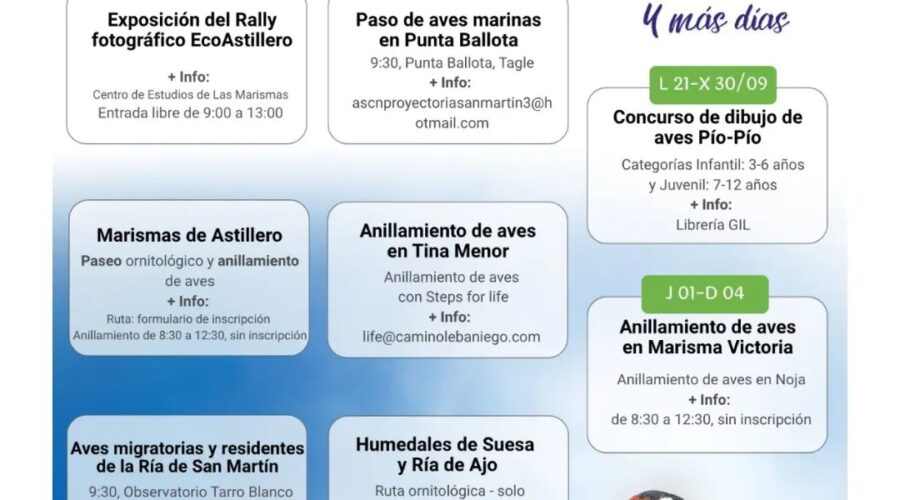 Día de las Aves 2026 en Cantabria: actividades 3 y 4 de octubre