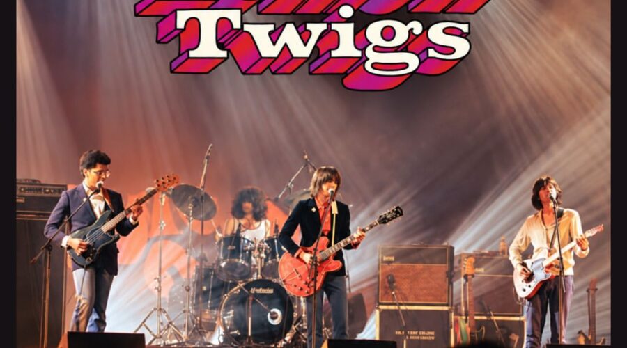 The Lemon Twigs en directo en Escenario Santander 2026