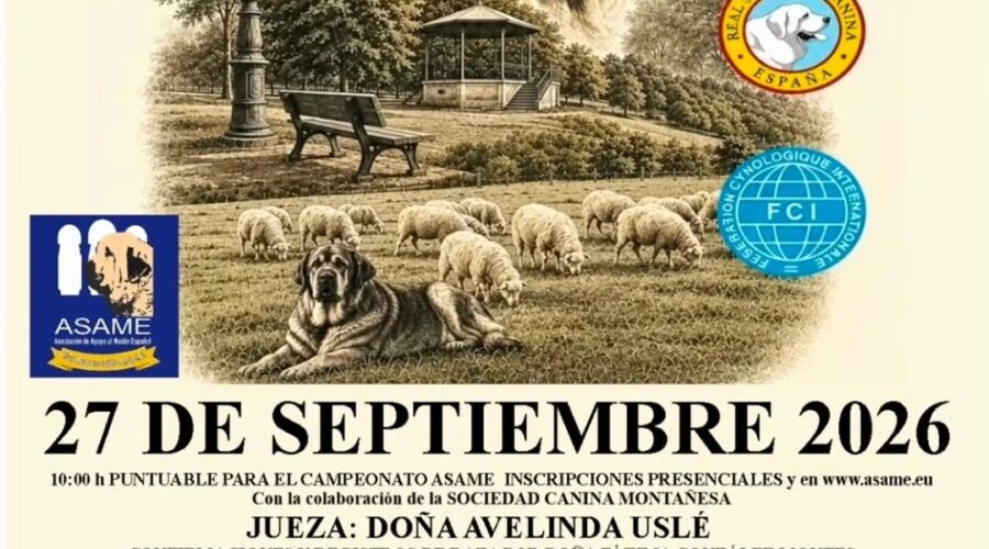 III Concurso Monográfico Mastín Español en Parque de Alceda