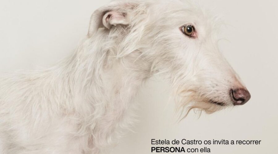 Exposición Persona de Estela de Castro en Naves de Gamazo