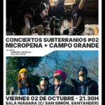 Micropena y Campo Grande en directo en Sala Niagara