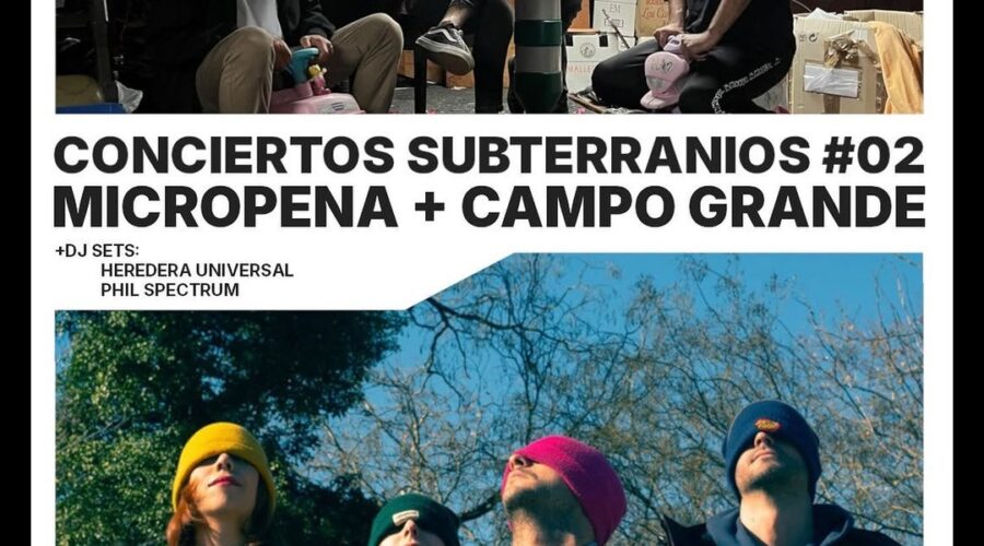 Micropena y Campo Grande en directo en Sala Niagara