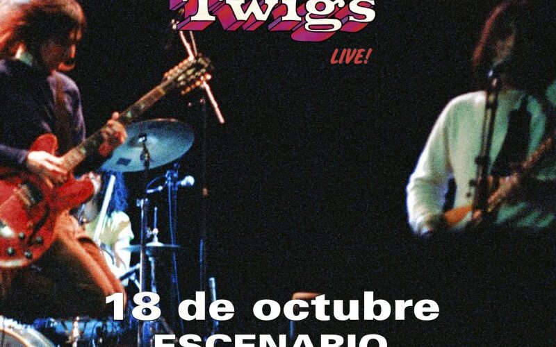 Concierto de The Lemon Twigs en Escenario Santander