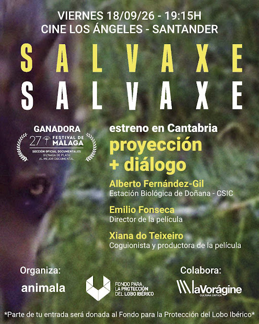 Proyección «Salvaxe, salvaxe» con presencia de sus autores