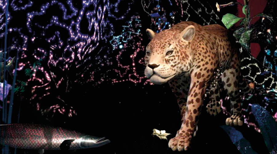 Origen, realidad virtual en el Real Club de Regatas Santander