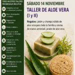 Taller de aloe vera