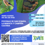 Paseo guiado del Día de las Aves por la costa de Santander