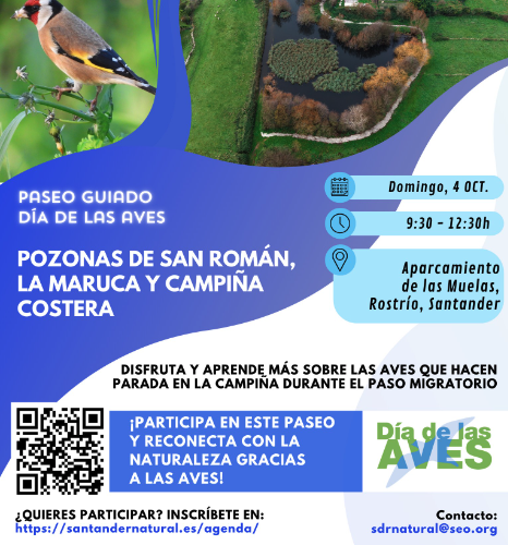 Paseo guiado del Día de las Aves por la costa de Santander