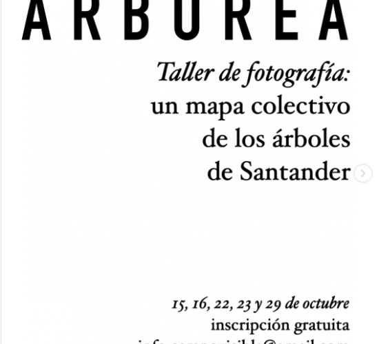 Taller Arbórea: fotografía de los árboles en Santander