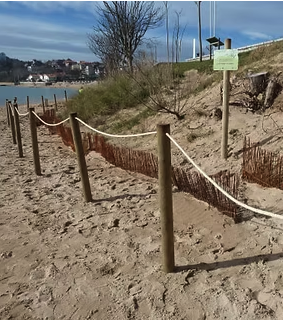Habitar el Paisaje III: restauración dunar en Santander