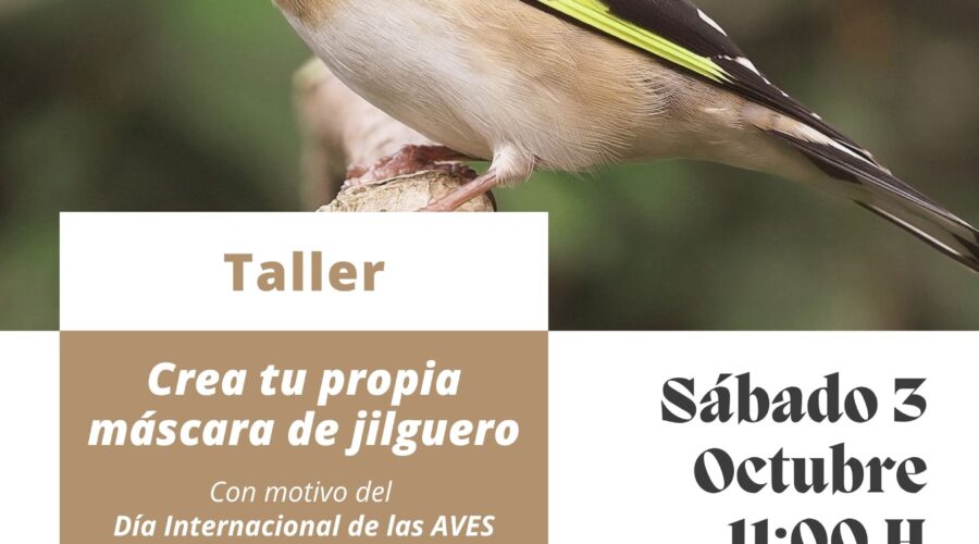 Taller Crea tu propia máscara de jilguero en Librería Gil