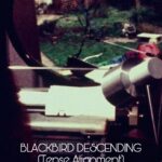 Puntos de Fuga VI: Blackbird Descending en Santander