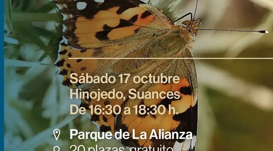 Efecto Mariposa — Cuenturaleza en Parque de La Alianza
