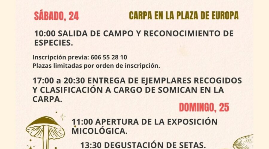XXVIII Jornadas Micológicas en Luey, Val de San Vicente