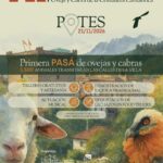 XI Certamen de Ganadería de Oveja y Cabra en Potes 2026