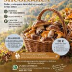 Jornada Micológica en CEDETER, Valderredible, Cantabria