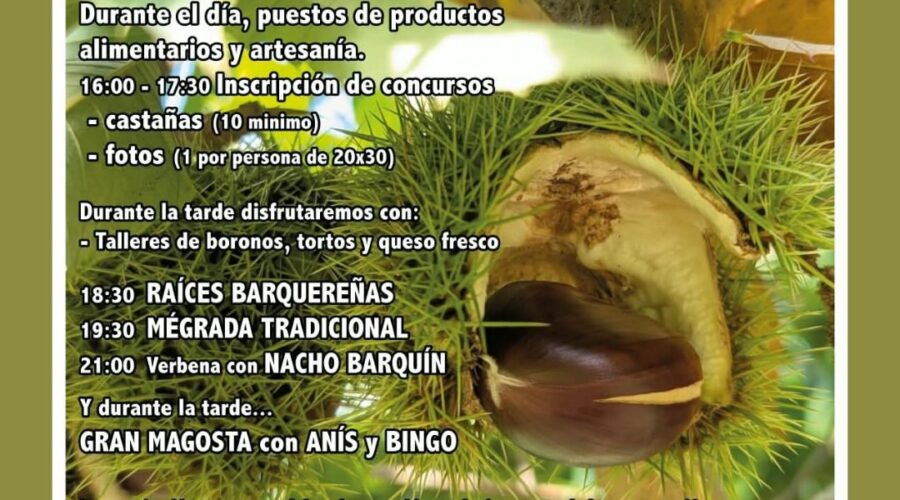 XIV Festival de la Castaña en Serdio, Val de San Vicente