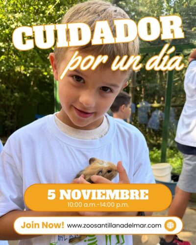 Taller Cuidador por un día en Zoo de Santillana del Mar