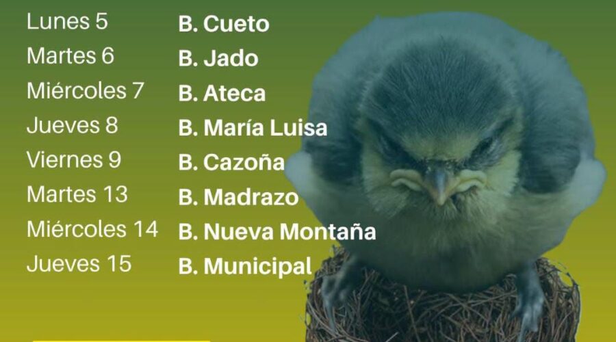 Cuentacuentos ‘¡Menudo pájaro!’ en bibliotecas de Santander