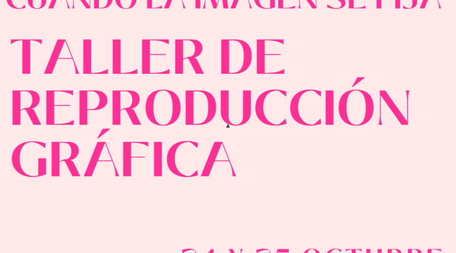 «Cuando la imagen se fija»: taller gráfico en Cantabria
